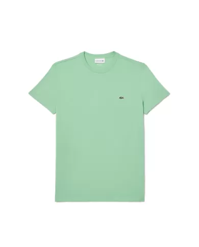 Andriani LACOSTE T-shirt in cotone Pima verde acqua TH6709.TTF