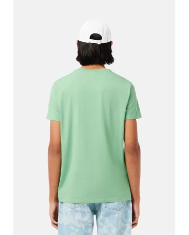Andriani LACOSTE T-shirt in cotone Pima verde acqua TH6709.TTF